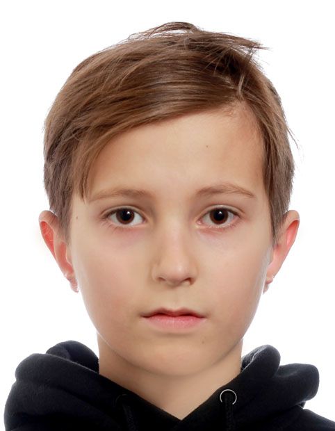 Sobolev, Lev Yu.