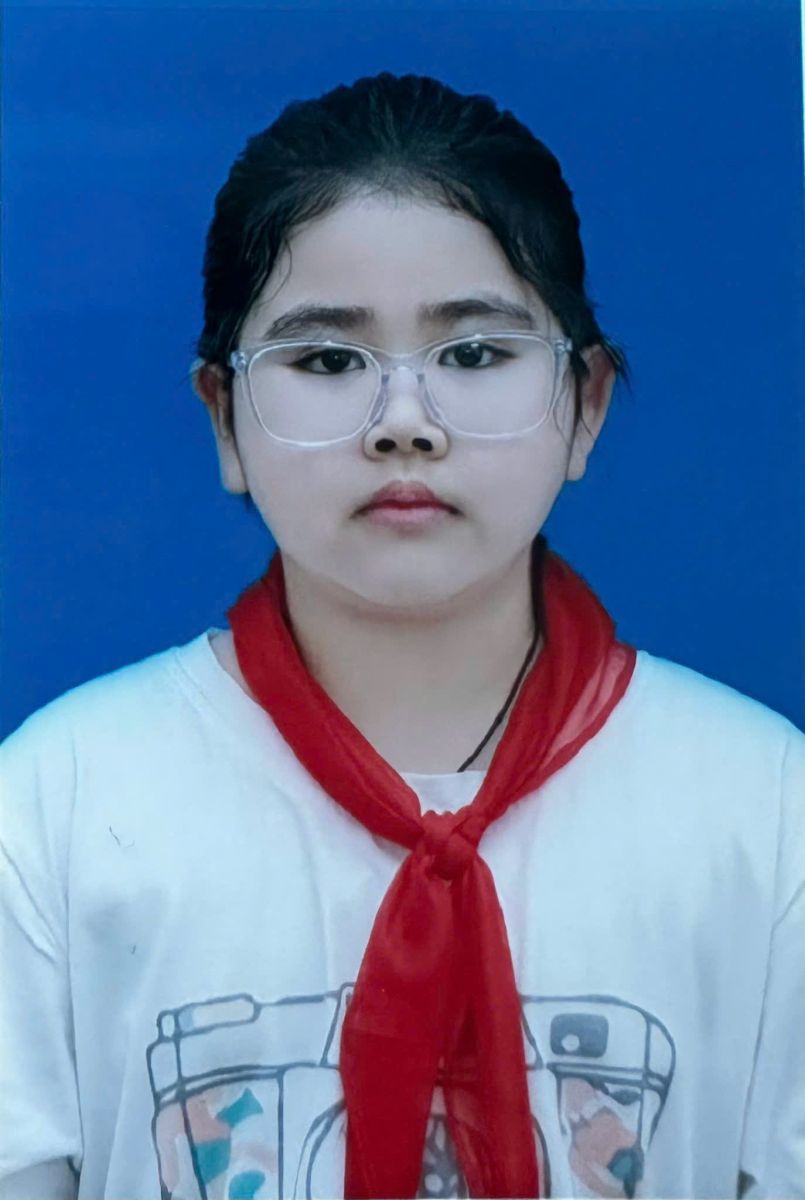 Vu, Nguyen Bao Linh